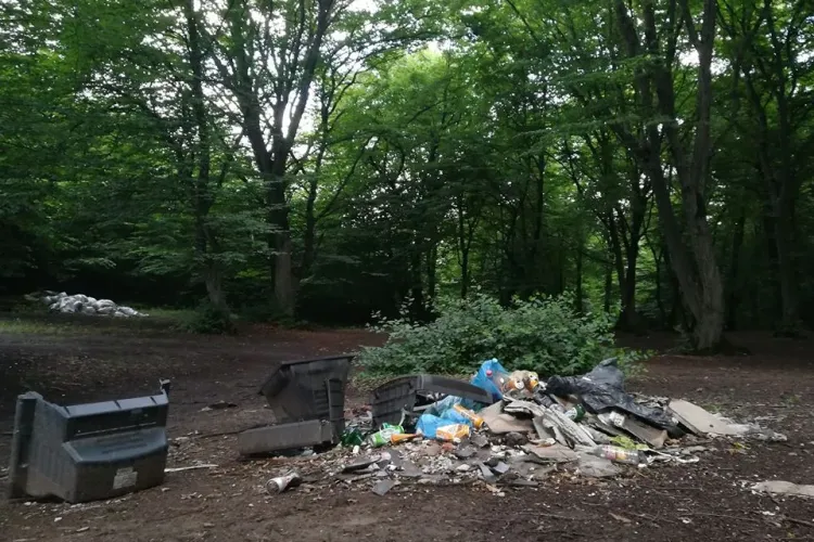 ”Iubitorii” naturii au trecut prin Pădurea Hoia neatinsă de interesele imobiliare - FOTO