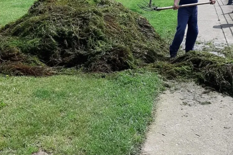 Peste 40 de tone de vegetație colectate de pe Someșul Mic și lacurile din Gheorgheni FOTO