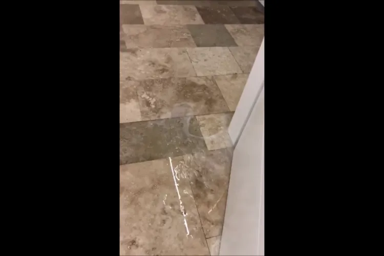 Jale la Hotelul Vedetelor de pe litoral. Un clujean a plătit 1.300 de lei pe noapte și a fost inundat zilnic - VIDEO