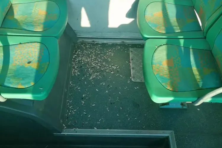 Cum arată autobuzul M41, după o cursă spre Apahida. Ce merită oamenii aceștia? - FOTO