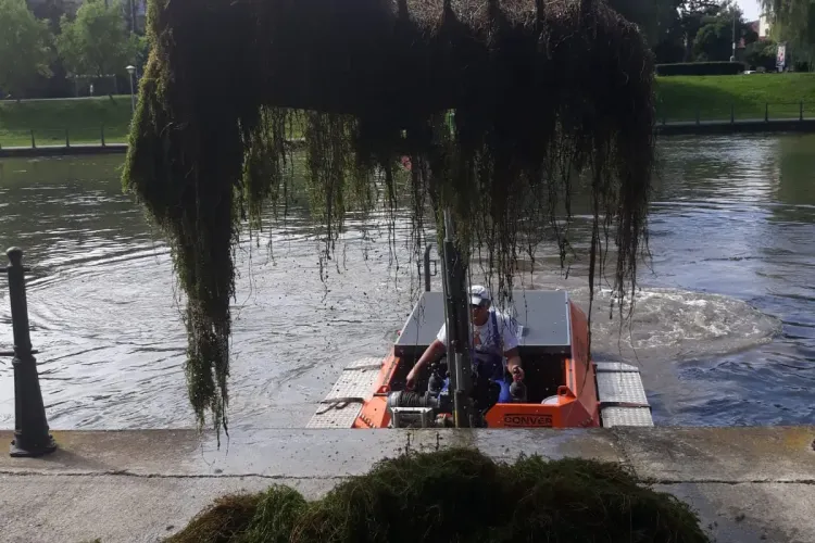 Utilajul amfibiu nu poate interveni pe râul Someș din cauza debitelor - FOTO   