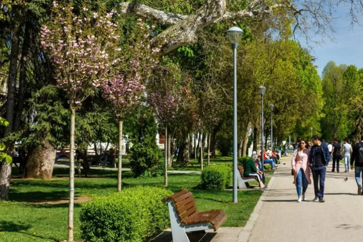 Află în ce stadiu de dezvoltare sunt viitoarele parcuri ale Clujului