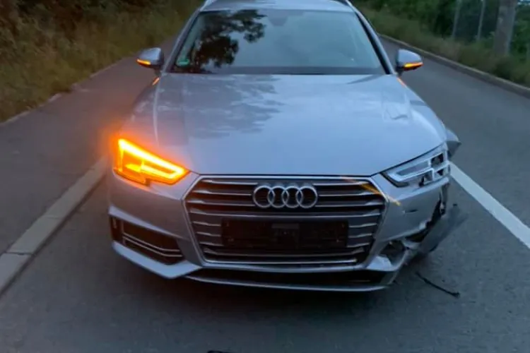 Mistreț lovit de mașină în Bună Ziua, pe Mihai Românul. Le-am invatat spațiul! - FOTO