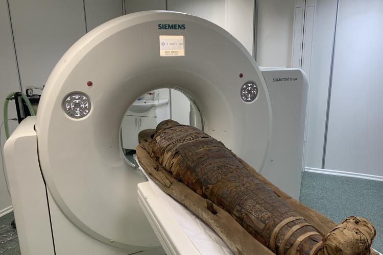 Mumie egipteană investigată cu un computer tomograf de la USAMV Cluj-Napoca - FOTO   