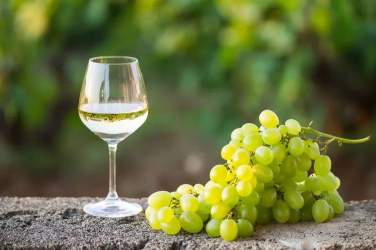 Cinci pași simpli pentru producerea vinului în propria gospodărie   