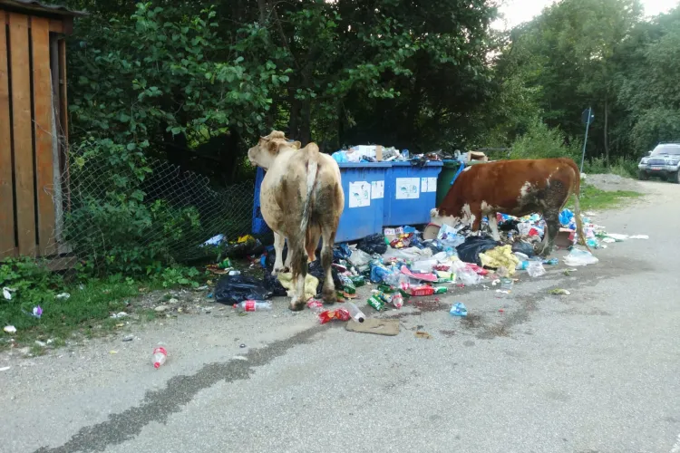 Așa arată zona turistică a Clujului, în Băișoara și în satul Moara de Pădure - FOTO