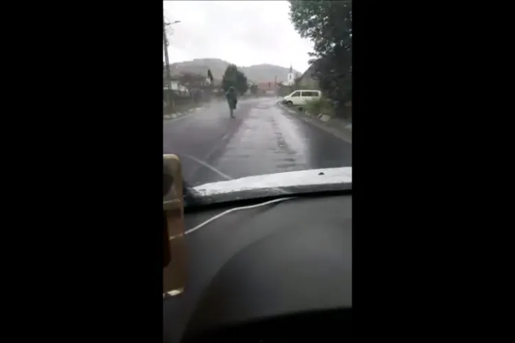 Remus Lăpușan: ”Asfaltare pe ploaie- o nouă dovadă de iresponsabilitate din partea domnului Tișe” - VIDEO   