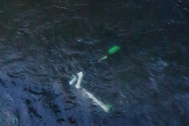 Nesimțire de Cluj! Încă o trotinetă aruncată în Canalul Morii FOTO