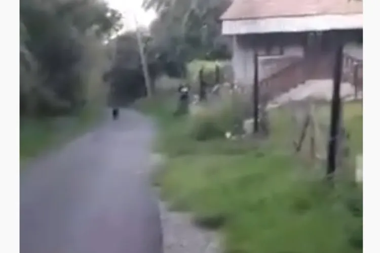 Femeie sechestrată și bătută într-un sat clujean. Agresorii sunt reținuți - VIDEO