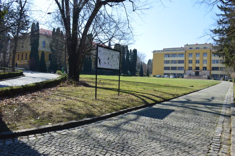 Cum se va studia la USAMV Cluj! Cursurile vor fi online, dar căminele vor fi deschise 