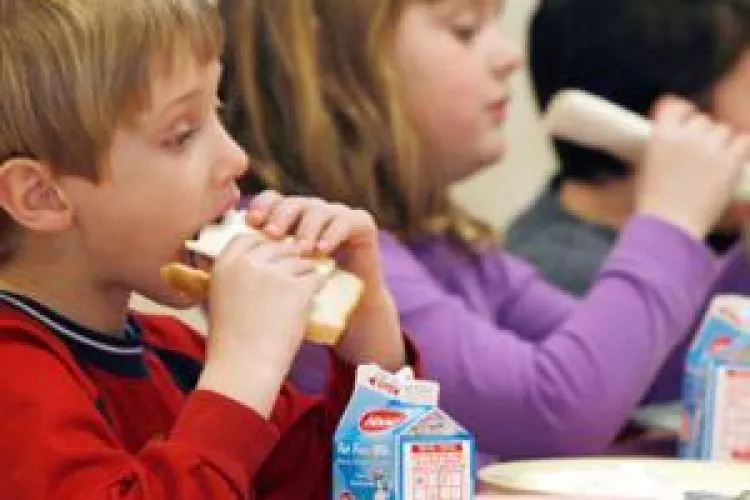 Elevii clujeni sunt sfătuiți să nu își ducă mâncare la școală - VIDEO