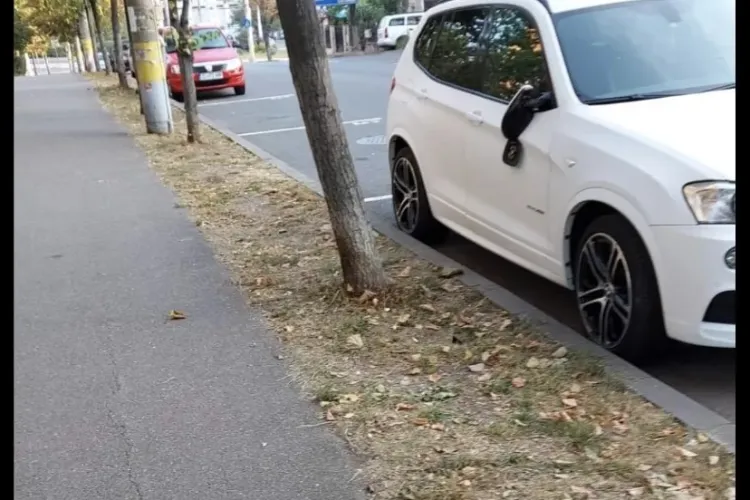 Huligan căutat de polițiști după ce a vandalizat 11 mașini în cartierul Gheorgheni 