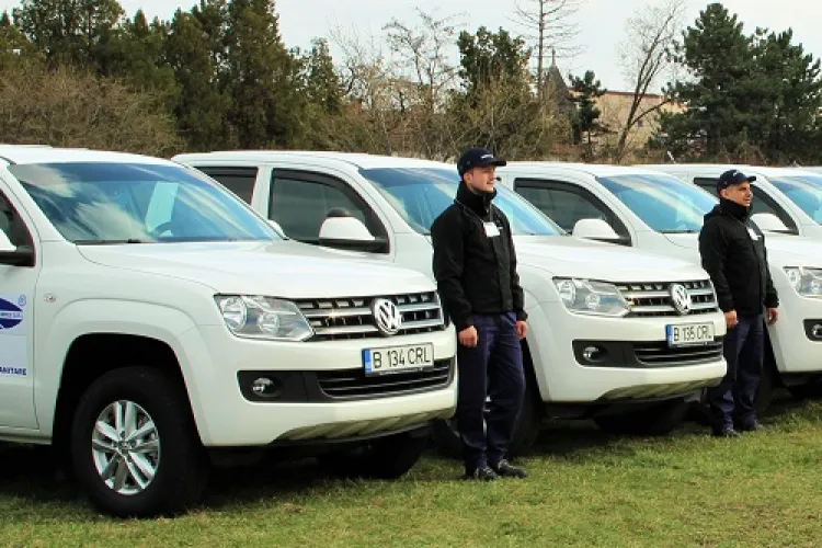 Cluj-Napoca: Acțiune de deratizare pe domeniul public al municipiului