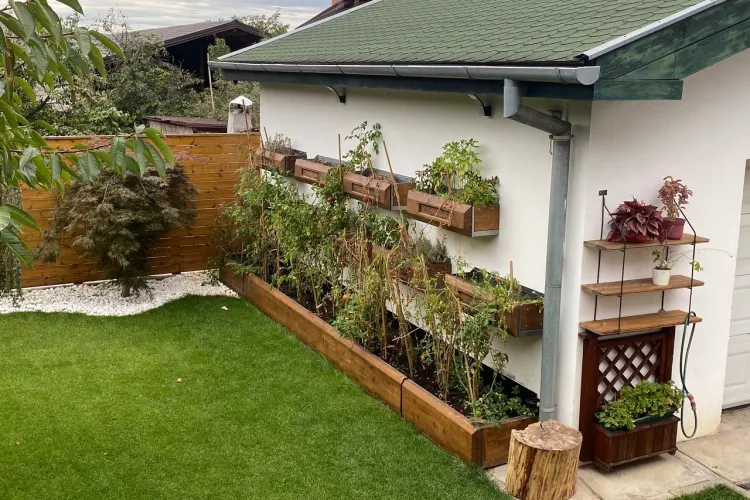 ”Clujul cu Flori” - Premii pentru cel mai frumos balcon, fațadă sau grădină cu flori din Cluj - FOTO