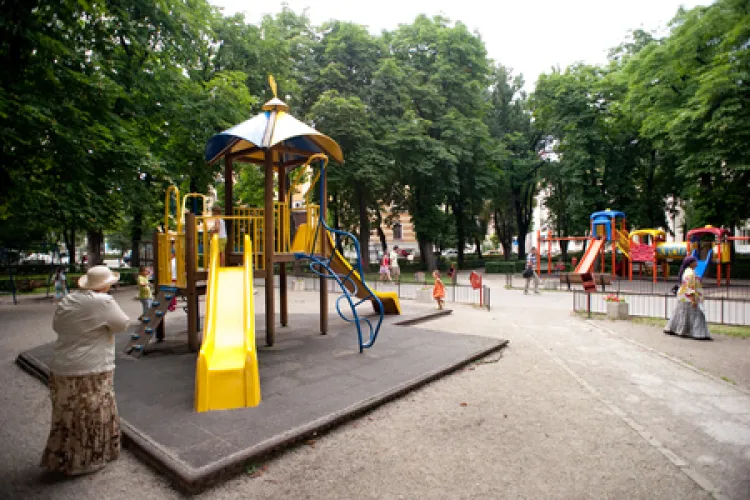 Petiție: NU tăiați arborii din parcul Ștefan cel Mare (Cluj-Napoca)   