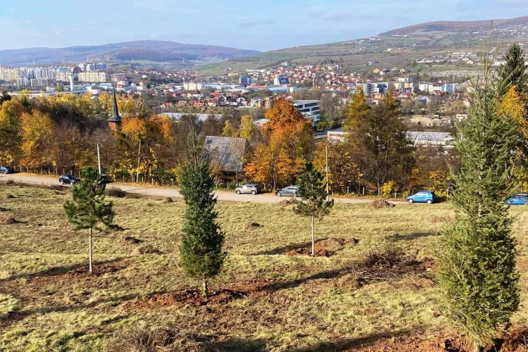 Pârtie de săniuș amenajată o dată cu extinderea Parcului Etnografic din Hoia - Foto