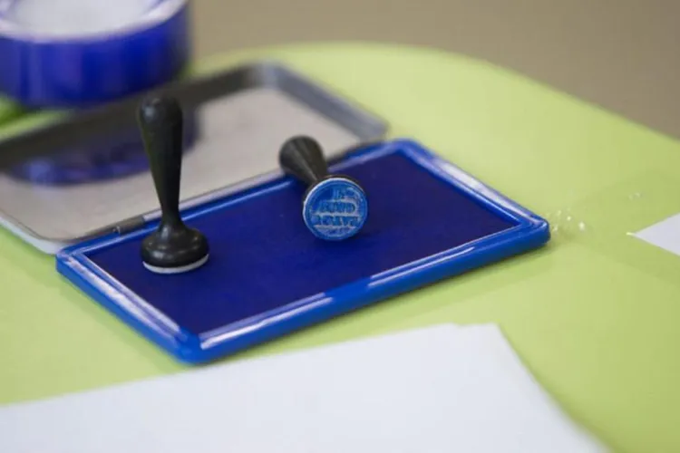 REZULTATE EXIT-POLL alegeri parlamentare, ora 21.00! PSD a câștigat alegerile