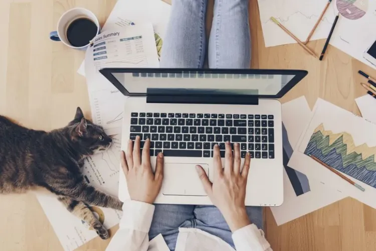 Studiu: Munca de acasă a crescut productivitatea angajaţilor. De ce se tem companiile