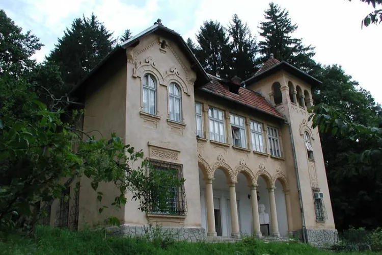 Castelul și domeniul lui Octavian Goga de la Ciucea au fost câștigate definitiv de statul român   