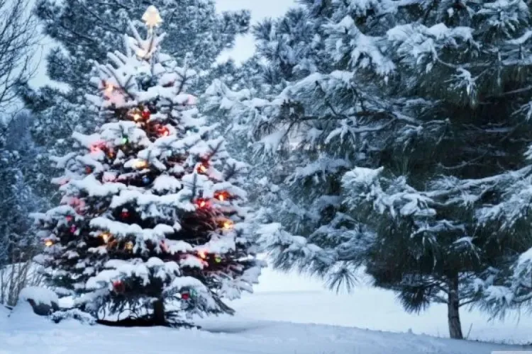 Vremea de Crăciun 2020: Meteorologii spun cum va fi vremea de Crăciun