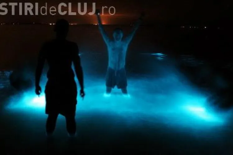 Lac din Avatar descoperit in Australia sau un banal fenomen natural? Vezi Galerie FOTO