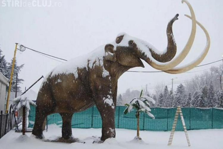 Expozitia de dinozauri s-a deschis la Expo Transilvania! Cel mai mare exponat are 23 de metri inaltime VEZI FOTO