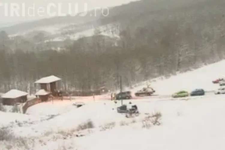 Vanatoarea de la Balc s-a incheiat. 164 de mistreti au fost impuscati - VIDEO