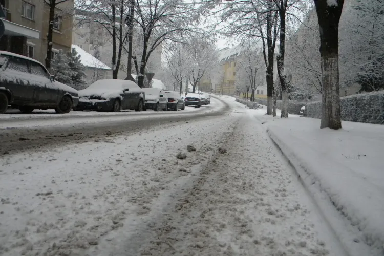 Rosal si Brantner, amendate cu 100.000 de lei pentru modul cum au deszapezit Clujul! Angajatii primariei vor fi sanctionati