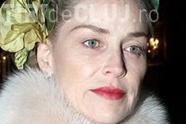 Sharon Stone a imbatranit! - VEZI Galerie FOTO