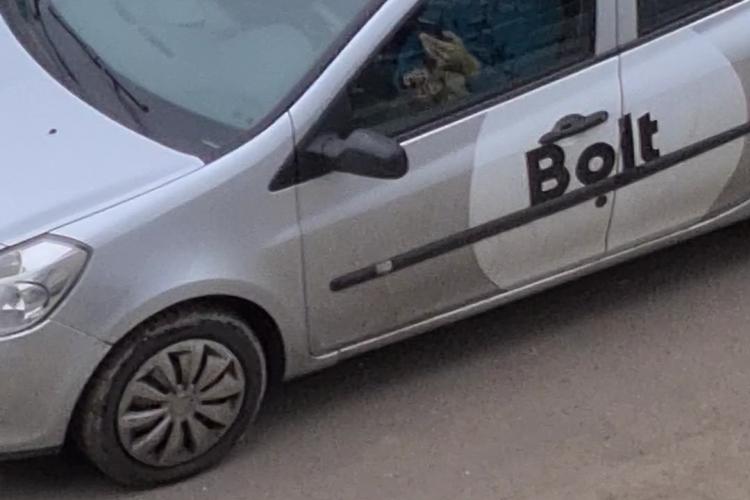 Cluj: Șofer Bolt se masturbează ziua în amiaza mare, la volan - VIDEO