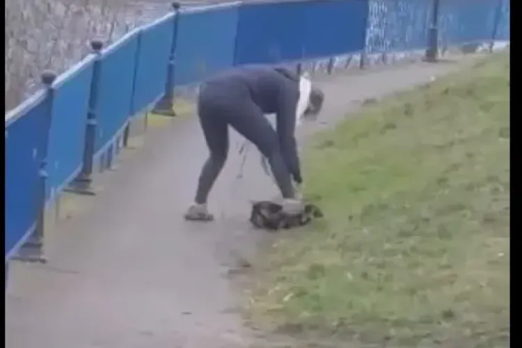 Femeia care își maltratează câinele pe malul Someșului este căutată de poliție. Unde a mai fost văzută! - VIDEO și FOTO