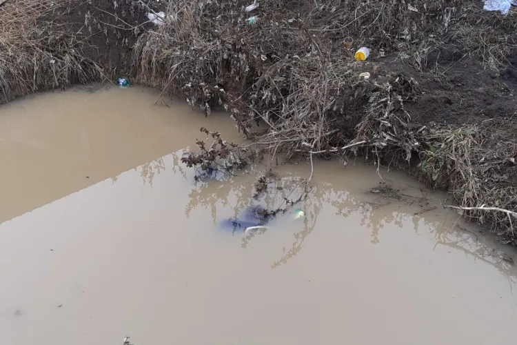 Clujean găsit mort într-o baltă din propria gospodărie FOTO