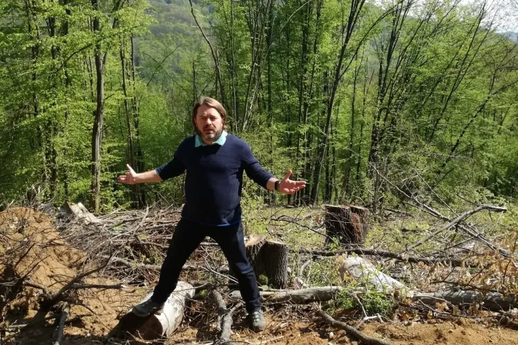 Mihai Goțiu își va depune candidatura pentru postul de secretar de stat la Mediu sau șef al Gărzii de Mediu