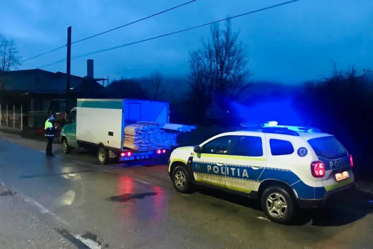 Hoți de brazi prinși în flagrant de polițiști. Au fost tăiați din Băișoara și comuna Poiana Vadului - FOTO / VIDEO