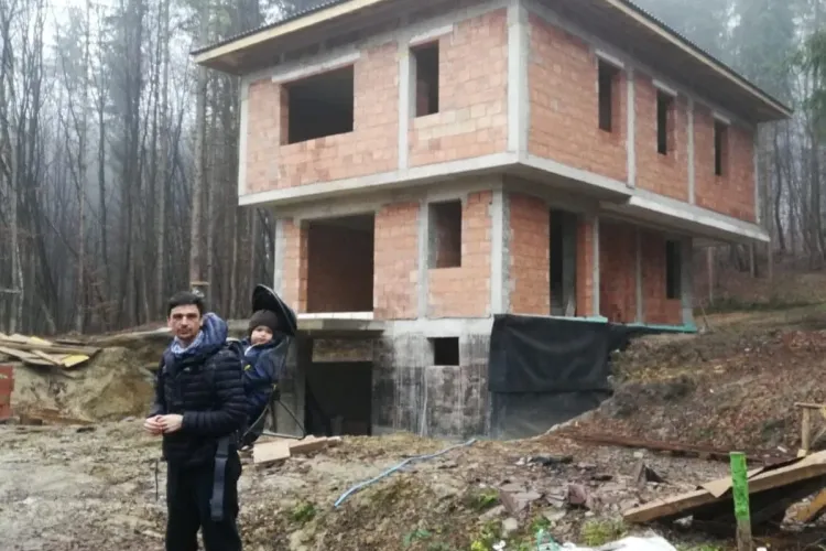 Pădurea Făget invadată de vile. Se fac ”toaletări” cu drujba pe motiv că arborii iau lumina caselor - FOTO