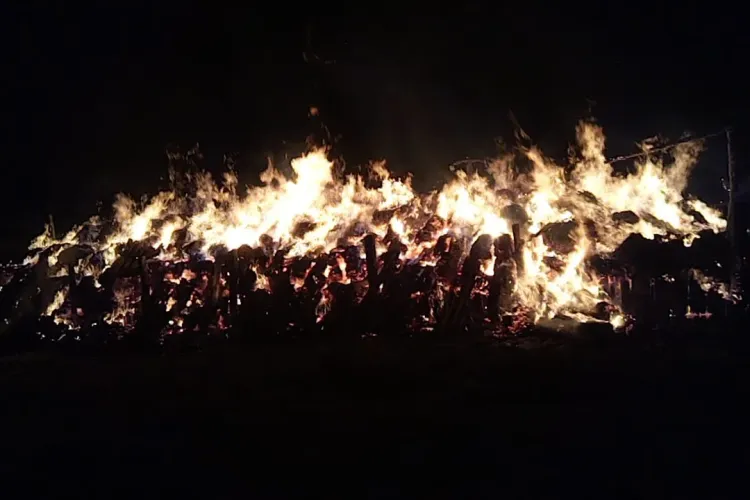 Copiii cu petardele au dat foc unui depozit de furaje din Câțcău - VIDEO