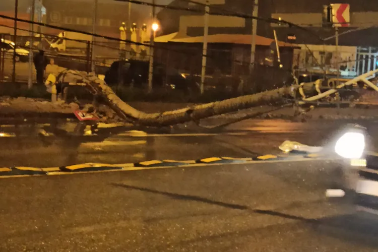 Stâlp prăbușit pe Traian Vuia, joi dimineața, într-un mod inexplicabil, fără să fi fost lovit - FOTO / VIDEO