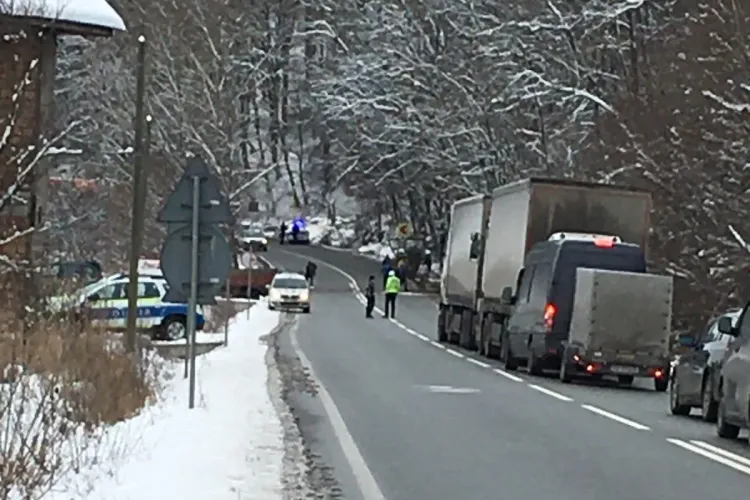 Copaci căzuți pe drum la Bârsău Mare, între Dej și județul Sălaj - FOTO