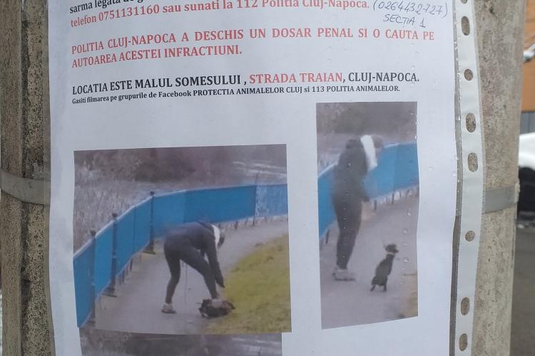 Clujenii nu abandonează lupta! S-au lipit afișe cu femeia care maltratează câinele pe malul Someșului - FOTO