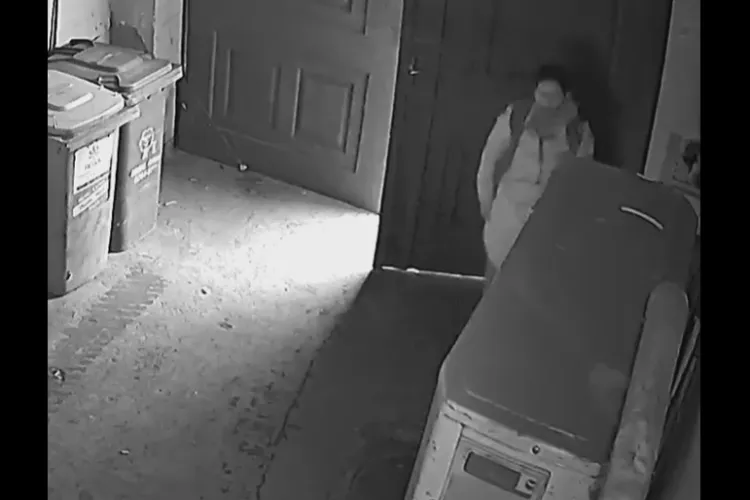 Clujeancă filmată în timp ce folosea o curte de pe Eroilor pe post de WC - VIDEO