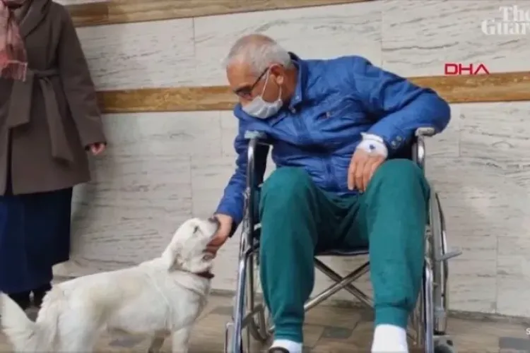 O cățelușă a așteptat zile întregi în fața unui spital în care stăpânul său era internat