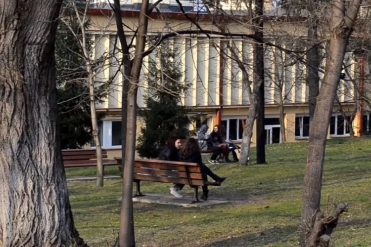 Studenții de la UBB Cluj sunt de acord să se taie copaci din Hașdeu pentru a se face un cămin 