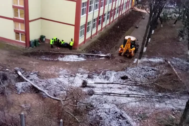 Se taie copacii de la Școala Iuliu Hațieganu din Mănăștur și Primăria Cluj-Napoca nu explică de ce - FOTO