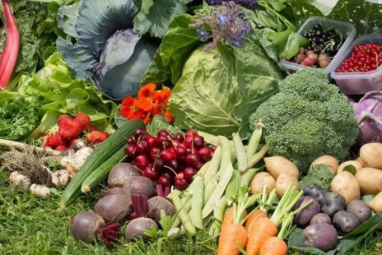 Doi tineri n-au mai cumpărat niciun aliment de la începutul pandemiei: „Am vrut să nu mai depindem de nimeni!” Cu ce se hrănesc cei doi