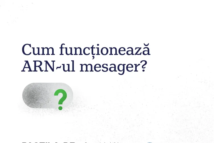 Ce este ARN -ul mesager și cum funcționează ARN -ul mesager   
