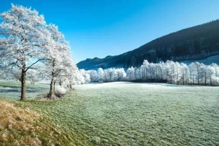 Cum va fi vremea în februarie. Elena Mateescu, directoarea ANM, anunță că vine gerul   