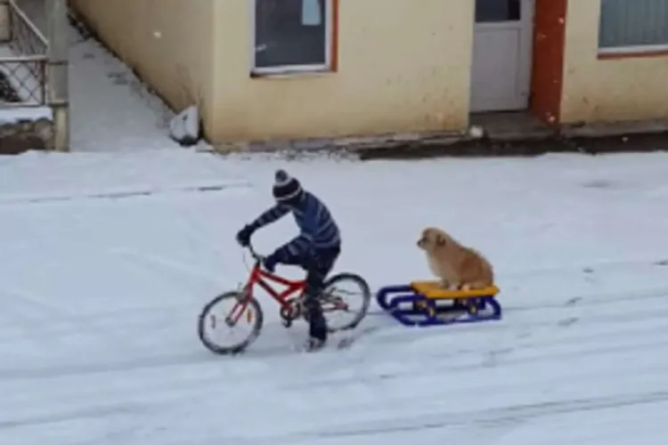 Imaginile din România cu un băiat de 12 ani și cățelul lui au ajuns virale la nivel internațional