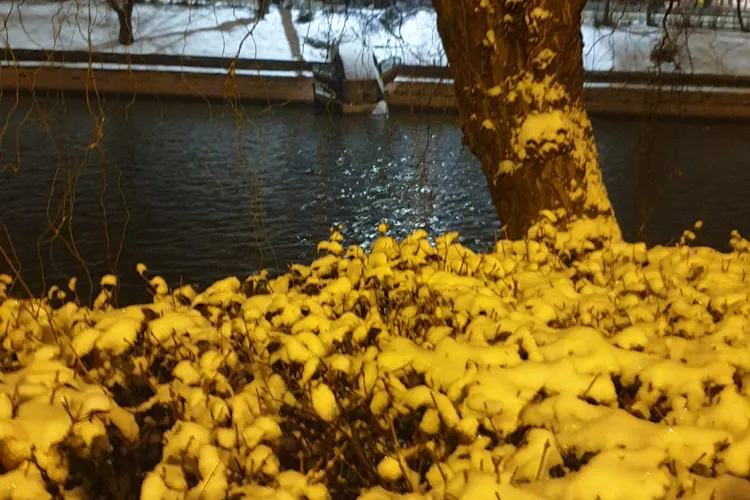 BMW -ul căzut în Someș cu ”botul” - FOTO / Șoferul: Am derapat pe linia de tramvai