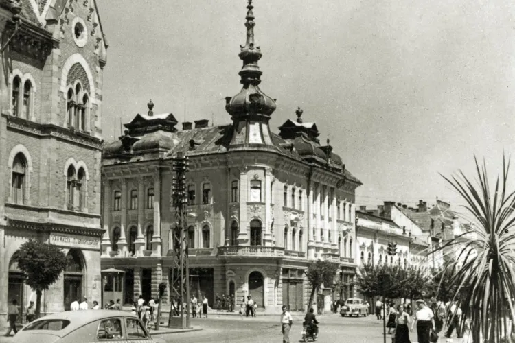 Strada Barițiu era o oază de verdeață în anii 1960! Clujul arăta ca o stațiune estivală. Ce se mai poate face în ziua de azi - FOTO