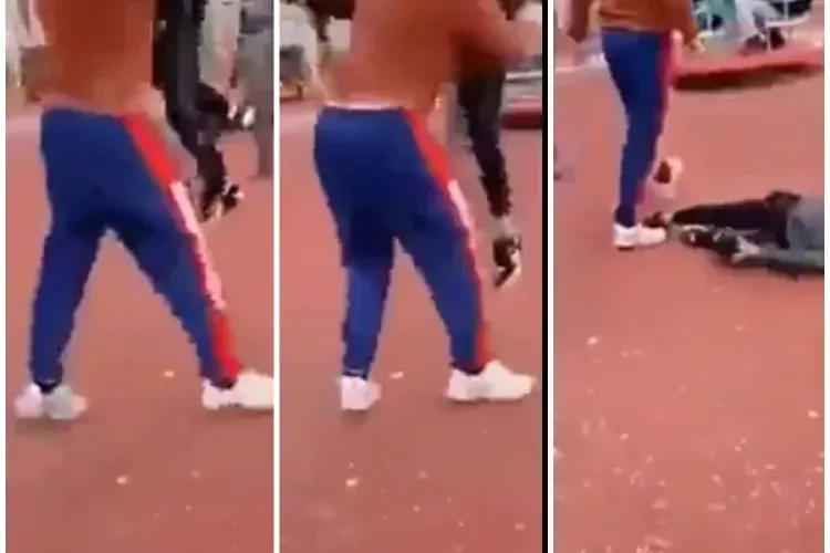 Anna Lesko a reacționat la imaginile șocante cu băiatul trântit de pământ la Hunedoara